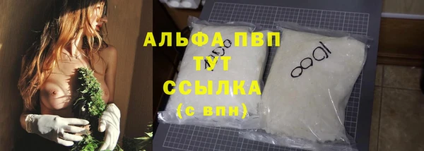 PSILOCYBIN Елабуга