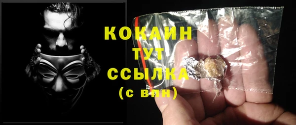 PSILOCYBIN Елабуга