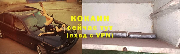 стафф Елизово