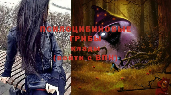 мдпв Дмитров
