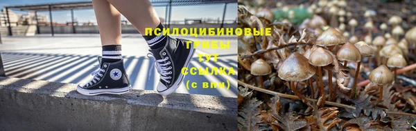 мдпв Дмитров