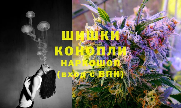 PSILOCYBIN Елабуга