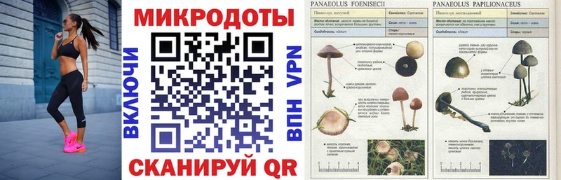 что такое наркотик  даркнет состав  Галлюциногенные грибы MAGIC MUSHROOMS  Чухлома  mega как зайти 